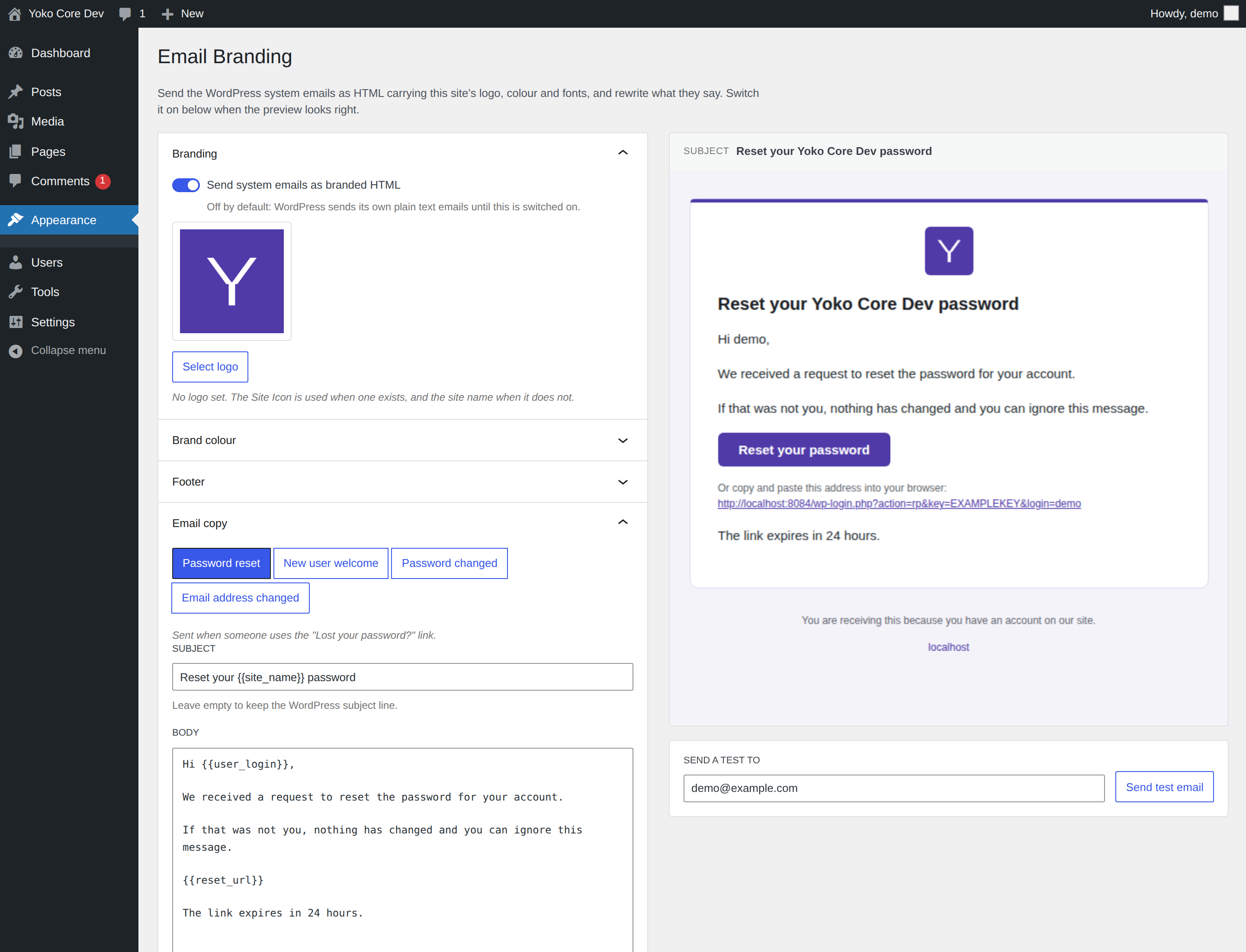 The Email Branding settings screen switched on, with a brand colour set and the password reset copy rewritten